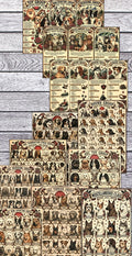 Dog breeds and classes posters