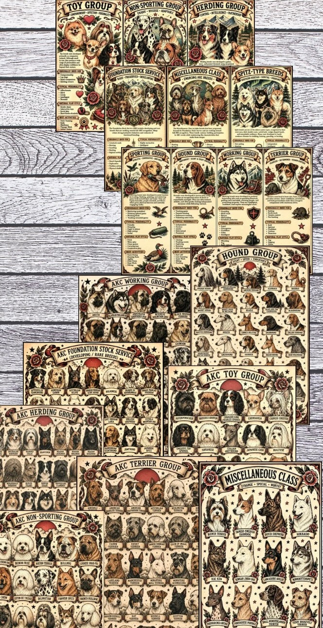 Dog breeds and classes posters