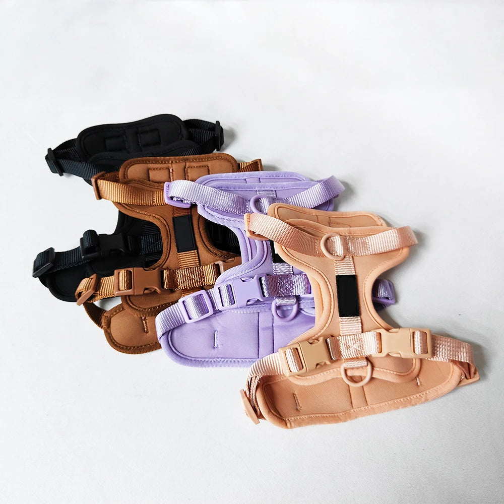 High Quality Adjustable Silicone Dog Harness Set Waterproof Multi-Color PVC for Pet Cat and Dog Walking Personalized