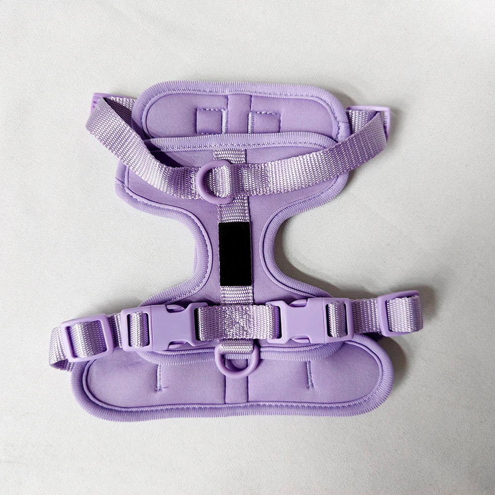 High Quality Adjustable Silicone Dog Harness Set Waterproof Multi-Color PVC for Pet Cat and Dog Walking Personalized