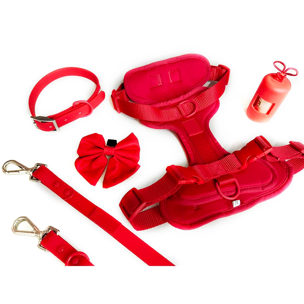 High Quality Adjustable Silicone Dog Harness Set Waterproof Multi-Color PVC for Pet Cat and Dog Walking Personalized