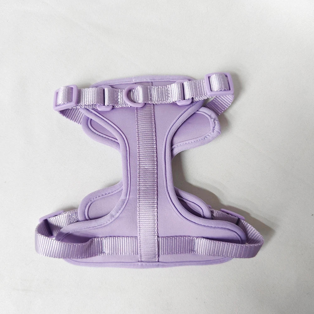 High Quality Adjustable Silicone Dog Harness Set Waterproof Multi-Color PVC for Pet Cat and Dog Walking Personalized
